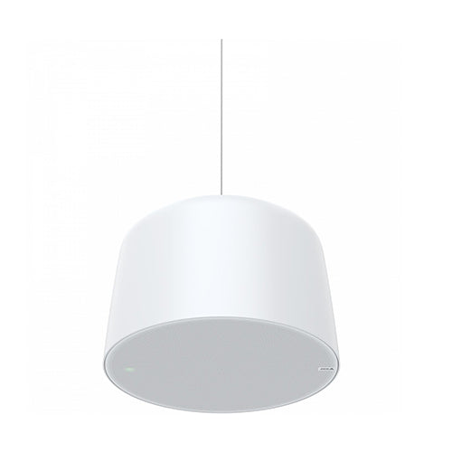 AXIS C1510 Network Pendant Speaker (02389-001