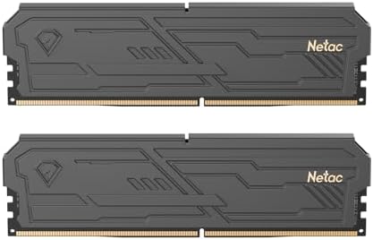 Netac DDR4 DRAM 32GB Kit (2x16GB) 3200MHz XMP 2.0 Dual Channel RAM CL16 (PC4-25600) 1.35V 288-Pin Upgraded Aluminum Heat Sink Ideal for Gaming Computer Upgrade - Shadow III Series Black|B0G1MMT6FQ