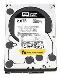 Western Digital RE4 2TB 7200RPM SATA 3.5" OEM HDD WD2003FYYS|B00NVMO4PG