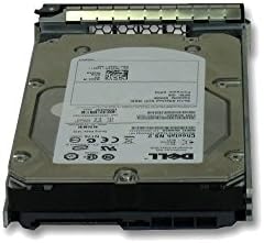 Dell 4TB 3.5 inches 7.2k NL SAS 6Gbs HDD (529FG) (Renewed)|B07FF6KRG5