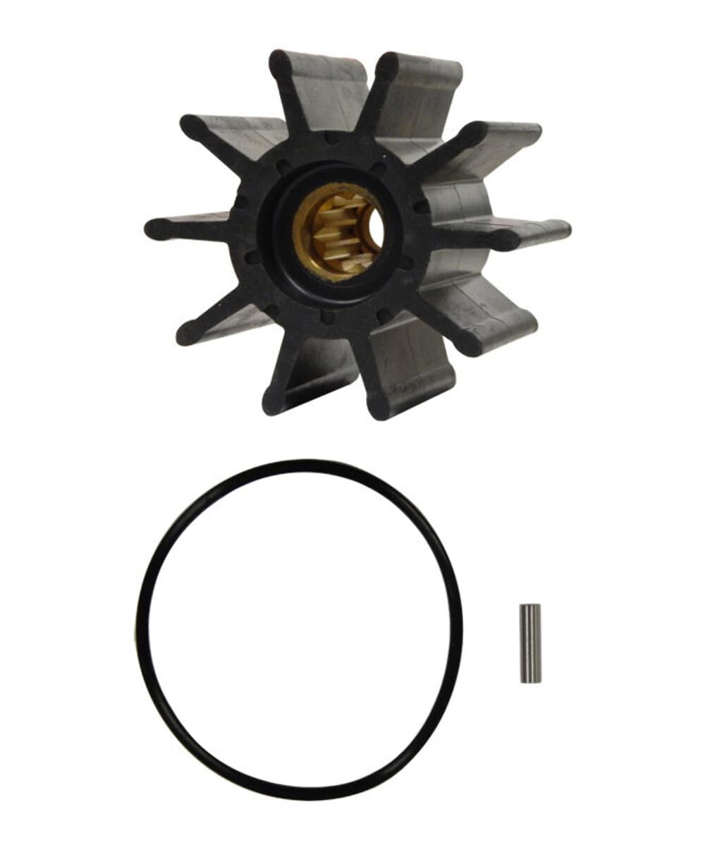 Sherwood 30000K-SHW Impeller Kit w/O-Ring