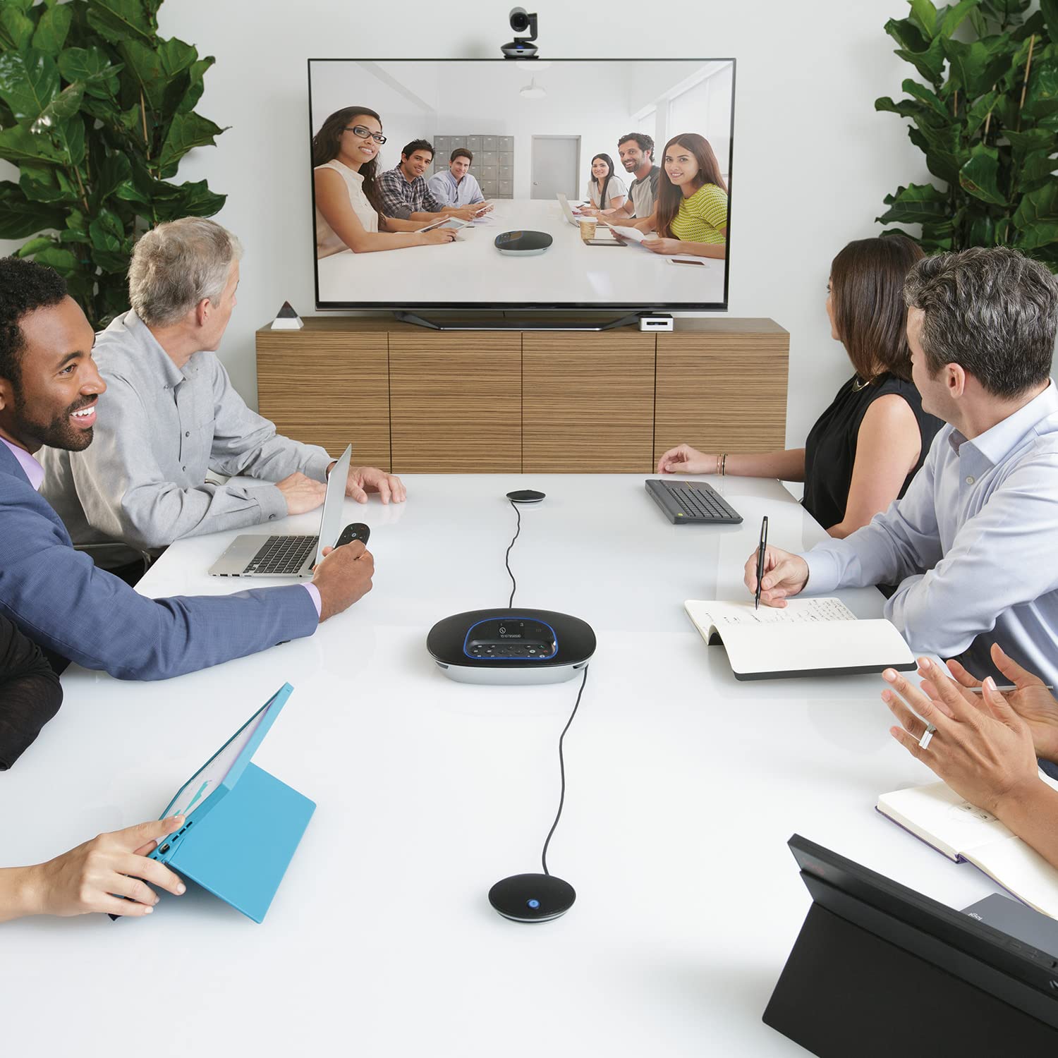 Logitech Group Video Conferencing Bundle with Expansion Mics for Big Meeting Rooms, Black and Silver