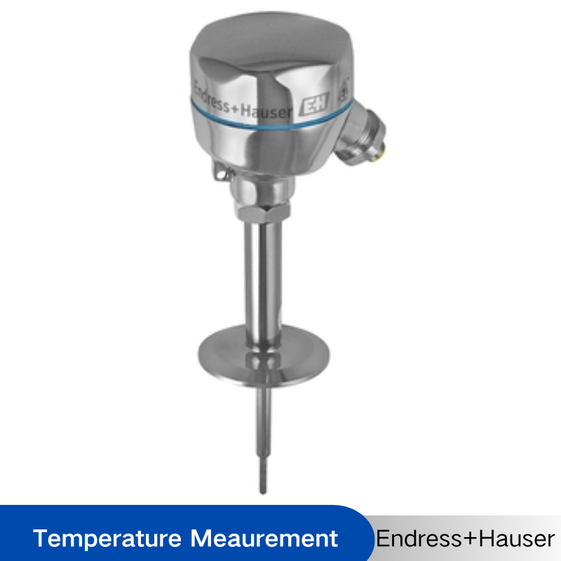 Endress+Hauser iTHERM TM401 Modular RTD Thermometer - basic Technology