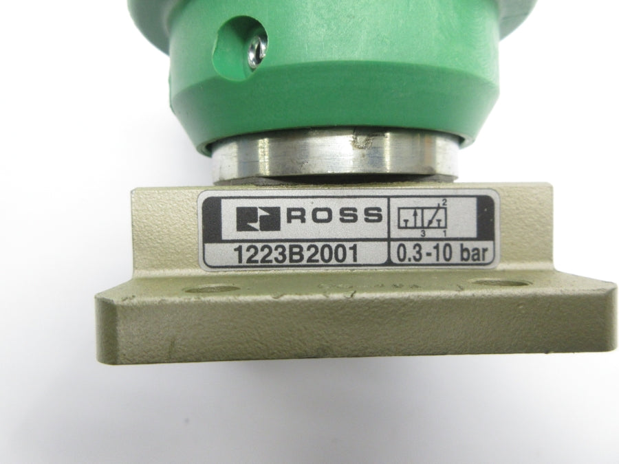 ROSS 1223B2001 NSNP