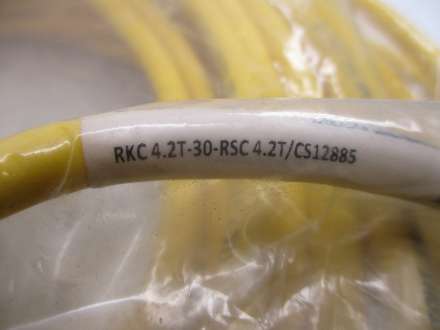 TURCK RKC4.2T-30-RSC4.2T/CS12885 U-45641 250V 4A NSMP