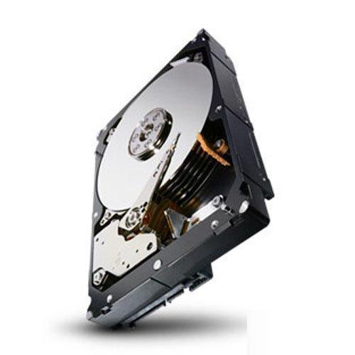 Seagate 4TB Enterprise Capacity HDD 7200RPM SATA 6Gbps 128 MB Cache Internal Bare Drive (ST4000NM0033)-FoxTI