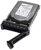 Dell Supp 8TB 7.2K RPM SAS 12Gbps 512e 3.5in|B093LTB1LM