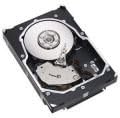 9FL066-150 Seagate 300GB 15K RPM Form Factor 3.5 Inches Hot Swap|B009FOH2SU