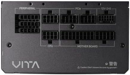 FSP VITA GM 1000W Power Supply, 80 Plus Gold, ATX 3.1/PCIe 5.1, Full Modular, 10 Year Warranty (VITA-1000GM)|B0DMQ48XKK