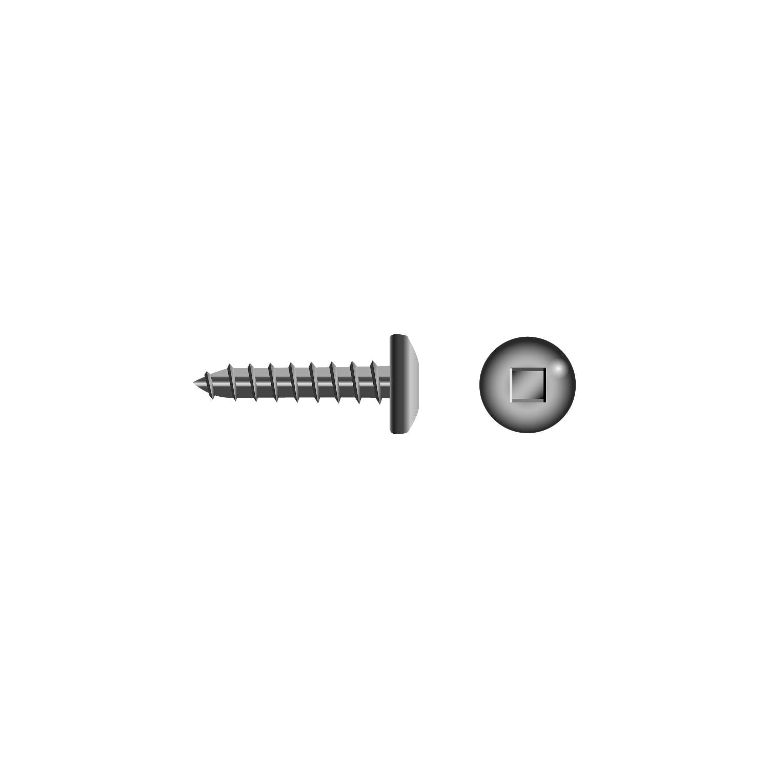 Seachoice SC3662 Square Tapping Screw Pan Head, #8 x 1"