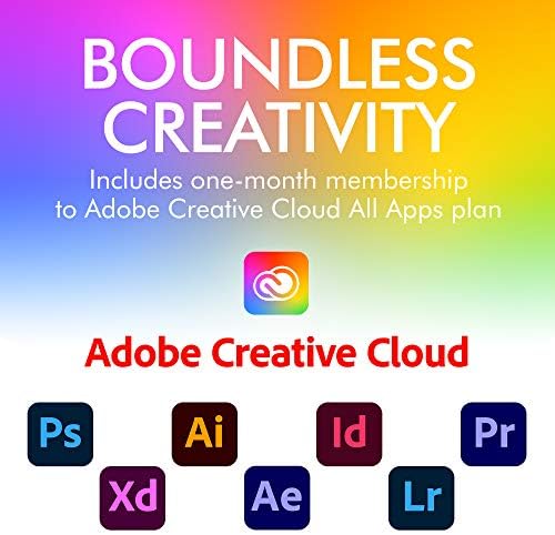 LaCie - STHA4000800 d2 Professional 4TB External Hard Drive Desktop HDD – USB-C USB 3.0 7200 RPM Enterprise Class Drives, 5 Year Warranty and Recovery Service (STHA4000800) Black|B07G8JT7XN