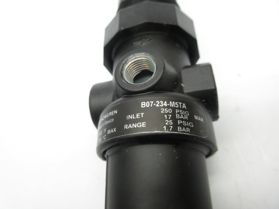 NORGREN B07-234-M5TA 250PSI NSNP