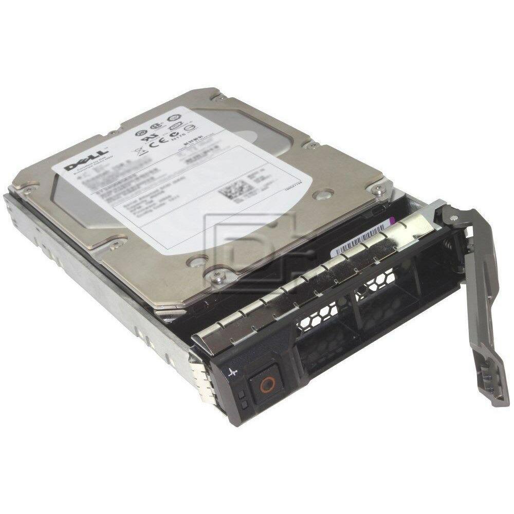 Dell 342-2340 3TB 7.2K 6.0 Gb/ps Near Line SAS Hard Drive F238F Kit R720 R610 884116170808 - AloinfoUSA